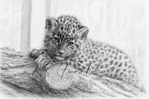 Amurleopard-Welpe - Bleistiftzeichnung